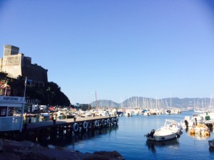 LERICI