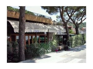 13324564704fe01a9b57392_large