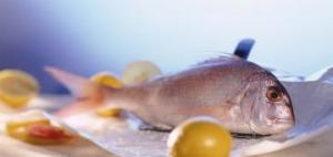 dentice-al-cartoccio